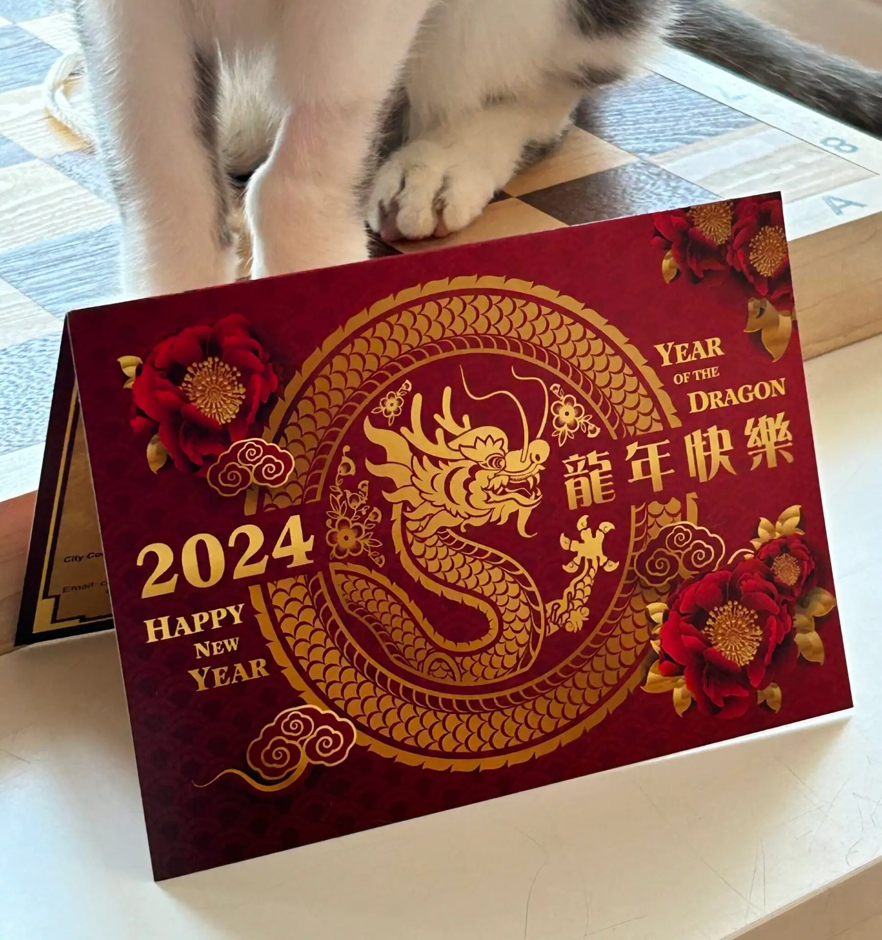 Year of the Dragon