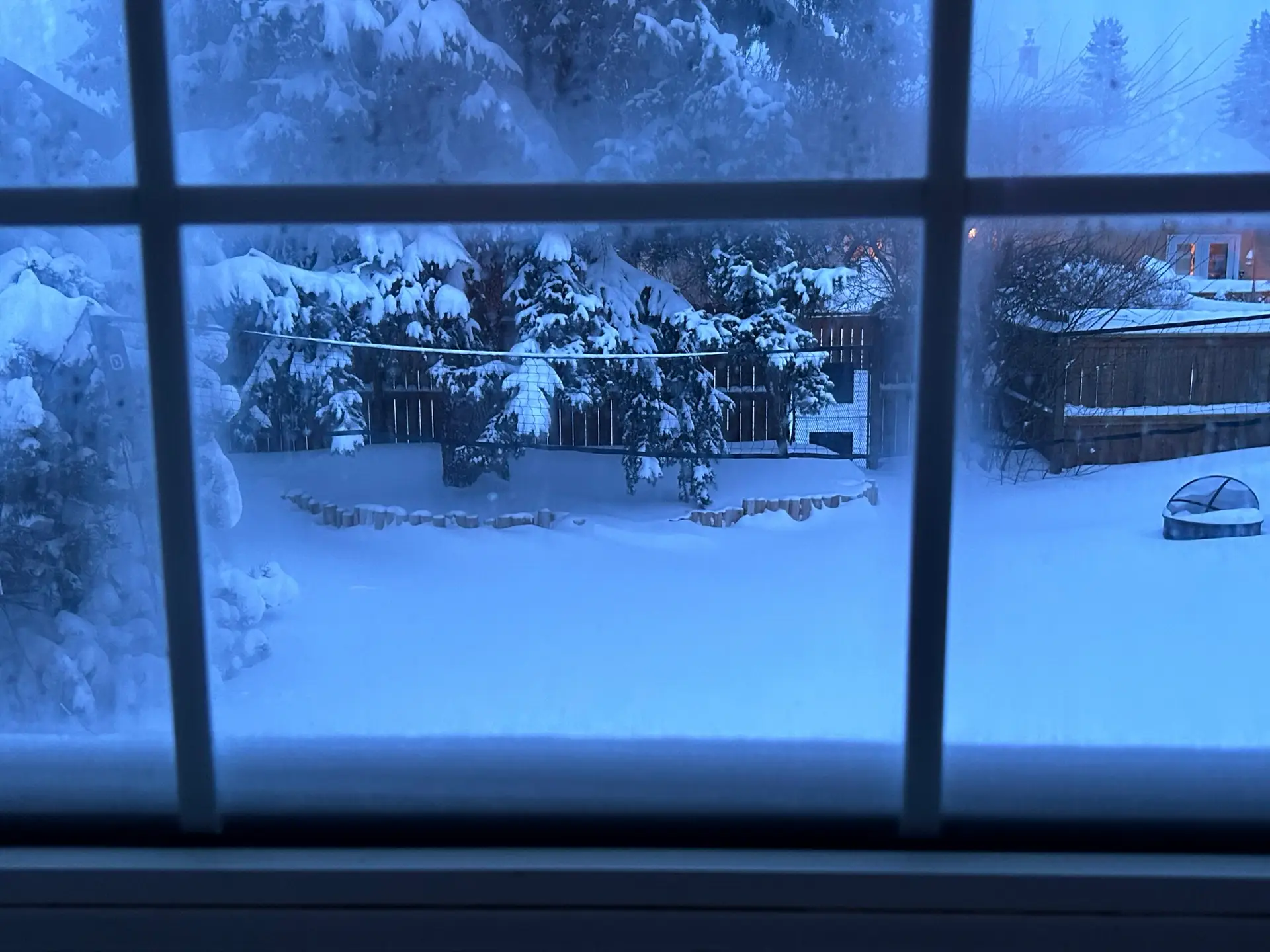 Saskatoon Snowstorm Backyard