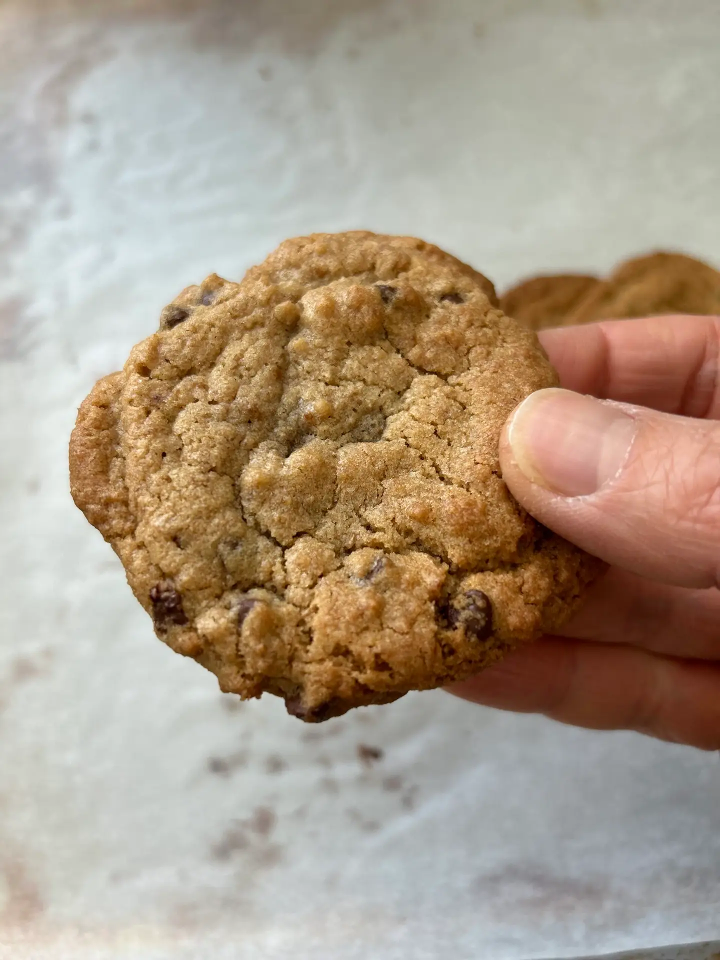 Family Favourite Chocolate Chip Cookies